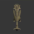 Animal Skeleton Model Featuring Horned Skull And Detailed Bone Structure