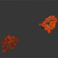 Vibrant Trees With Different Colored Red Orange Yellow Green Leaves On White Background