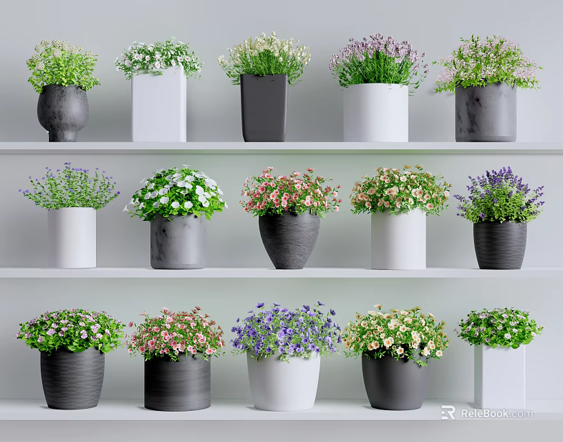 Bonsai Potted Plants Displayed on Multiple Shelves with Various Colored Pots and Colorful Blooms 3d model 