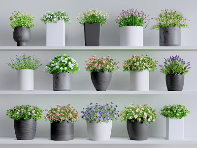 Bonsai Potted Plants Displayed on Multiple Shelves with Various Colored Pots and Colorful Blooms 3d model