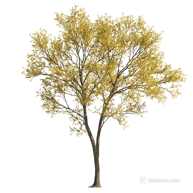 Tall Single Arbor Featuring Yellow Leaves Dark Trunk And Natural Branches 3d model 