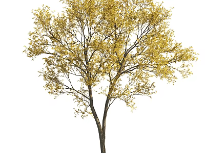 Tall Single Arbor Featuring Yellow Leaves Dark Trunk And Natural Branches 3d model