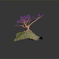 3D Model of Tree with Purple Leaves and Orange Trunk on Rock with Green Moss