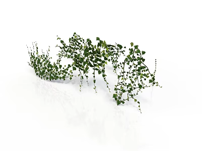 Green Vine Plant with Lush Green Leaves and Hanging Trailing Branches on White Background 3d model