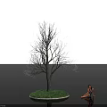 Bare Deciduous Tree Standing On Grass Island With Calm Water And Sunset Sky