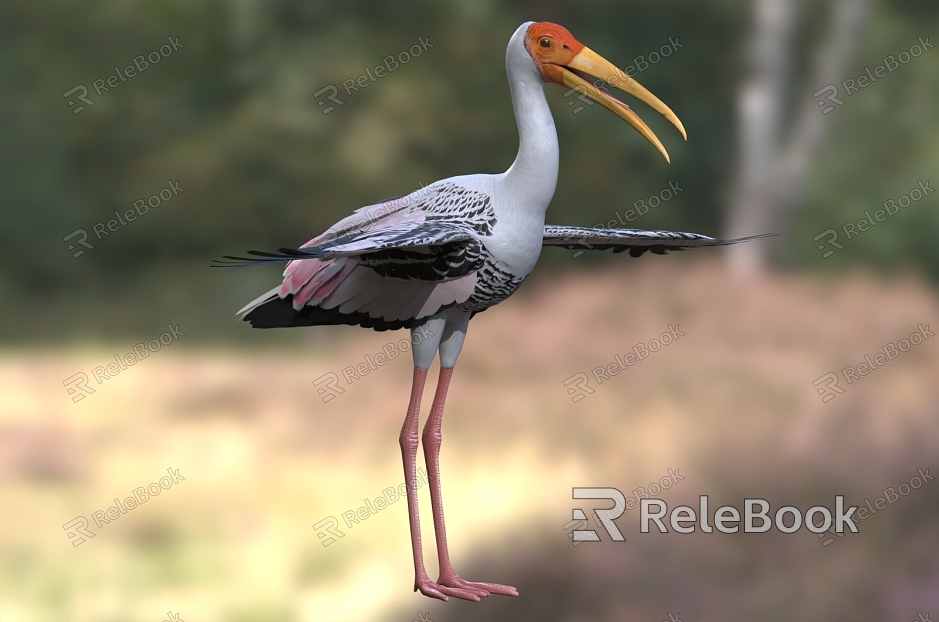 Colorful Stork White-headed Ibis Stork model