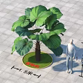 Landscape Arbor With Large Fan Shaped Leaves 1.8 Meters Height And 1.5 Meters Crown Width