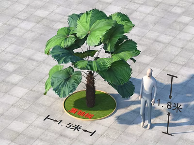 Landscape Arbor With Large Fan Shaped Leaves 1.8 Meters Height And 1.5 Meters Crown Width 3d model
