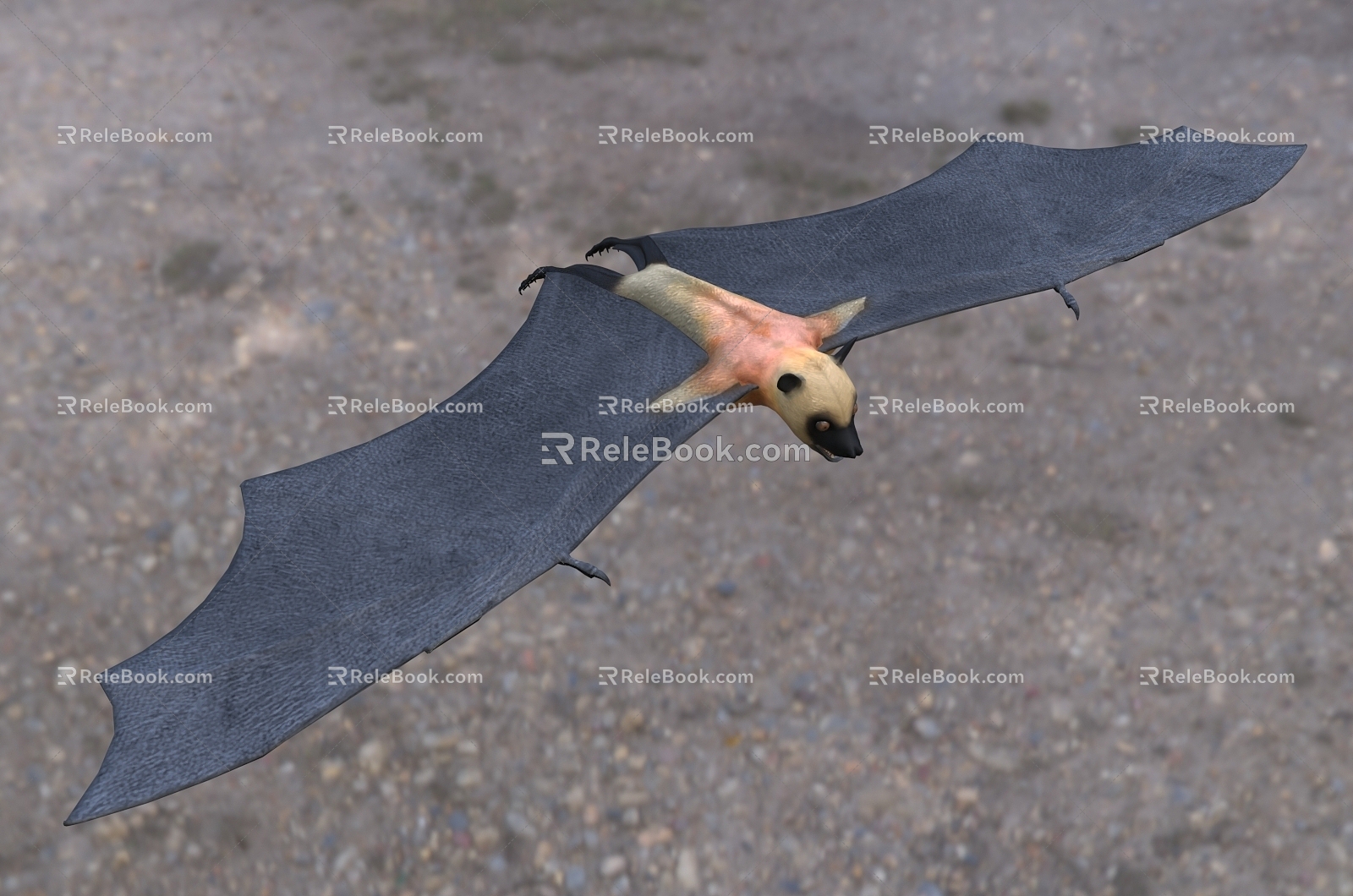 Modern Madagascar flying fox animal creatures 3d model