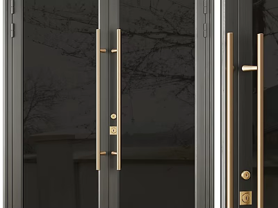 Modern Swing Door Design with Glass Panel Brass Handle and Black Frame 3d model
