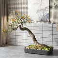 Bonsai Plant With Curved Trunk And Orange Flowers In Square Pot For Indoor Decor
