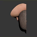Detailed Human Head Anatomy Model Showing Brain Nasal And Throat Structures