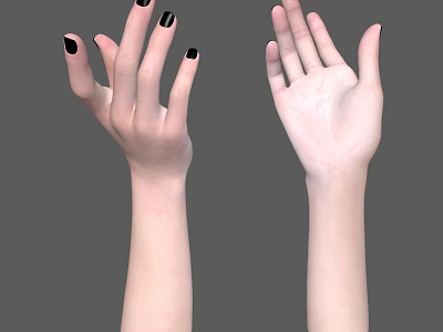 Two Human Hands With Black Nail Polish And Natural Skin On Gray Background 3d model