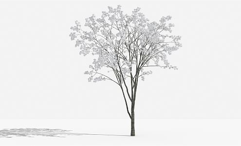 Modern Flower Tree Mountain Cherry Blossom Shrub Plant Grass Landscape 3d model