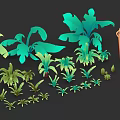 Various Green Tropical Plants With Large Leaves And Ceramic Pots