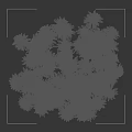 Tall Arbor with Curved Trunk and Lush Green Foliage in Height Measurement
