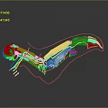 3D Skeletal Structure Model With Transparent Framework Colored Vessels And Dark Background Reflection