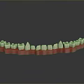 3D Rendered Dental Organ Model Featuring White Teeth And Red Gums Design