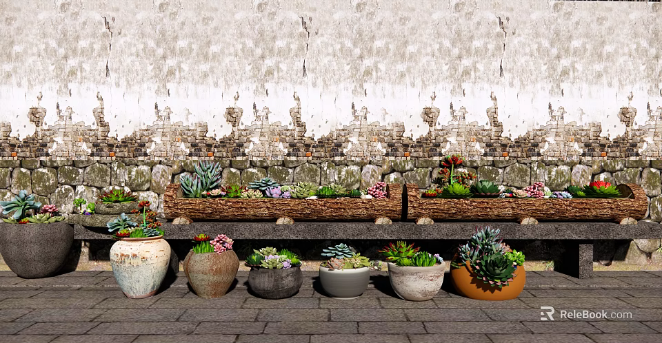 Various Shaped Succulent Potted Plants On Stone Platform With Weathered Textured Wall 3d model