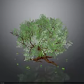 Realistic 3D Tree With Green Leaves Brown Trunk And Scattered Leaves Reflection