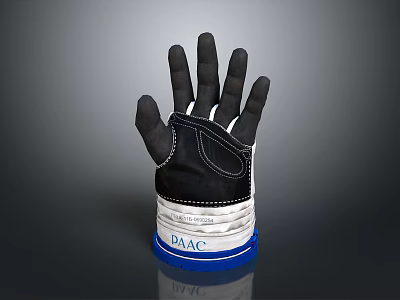 Fashionable Black and White Glove with DAAC Branding Blue Trim and Stitching Details 3d model