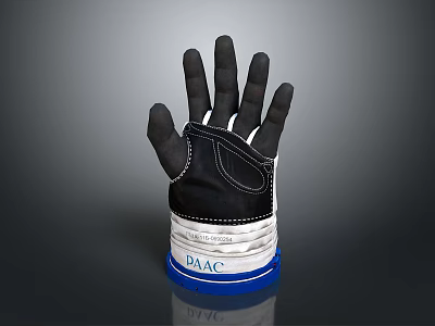 Fashionable Black and White Glove with DAAC Branding Blue Trim and Stitching Details 3d model