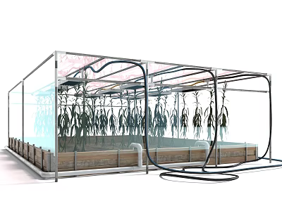 Transparent Hydroponic Greenhouse Facility With Suspended Plants And Water System 3d model