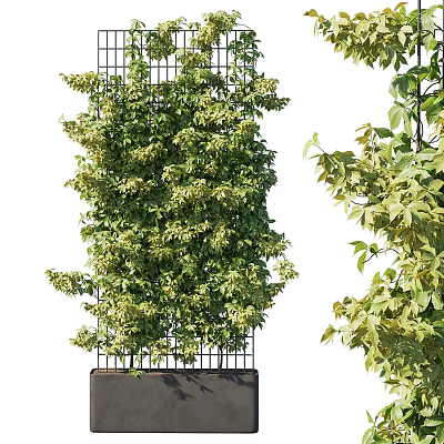 Lush Green Vine Climbing On Metal Trellis With Dense Foliage And Fresh Leaves 3d model
