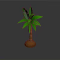 Small Potted Palm Tree With Green Leaves And Brown Trunk For Indoor Decor