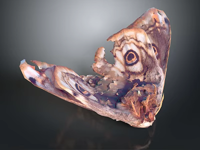 Moth Wings Featuring Intricate Patterns Eye Like Markings Tattered Edges And Brown Purple White Hues 3d model