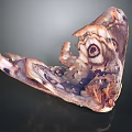 Moth Wings Featuring Intricate Patterns Eye Like Markings Tattered Edges And Brown Purple White Hues