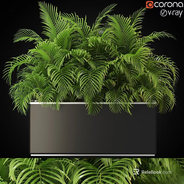 Bonsai Potted Plant With Lush Green Fern Like Leaves In Black Square Planter 3d model 
