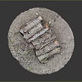 Natural Wood Material Logs Stacked With Bark And Green Moss On Circular Ground