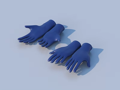 Blue Protective Gloves Two Pairs For Household Daily Use 3d model