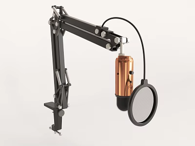 Professional Black Microphone Stand With Copper Microphone And Circular Pop Filter For Studio Recording 3d model