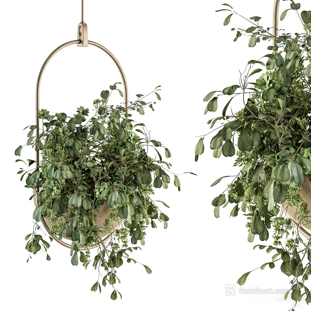 Hanging Green Bonsai Potted Plants With Metal Hoop Stand And Lush Foliage 3d model 