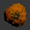 Orange Kiwano Fruit With Spiky Exterior And Black Protrusions On Gray Background With Reflection