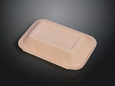 Eco Friendly Rectangular Paper Food Container With Secure Lid And Recyclable Material 3d model