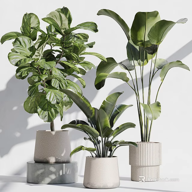 Lush Home Garden With Lush Green Leafy Plants In Various Decorative Ceramic Pots 3d model 