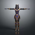 Fantasy Game and Movie Character in Purple Black Armor Outfit with Gold Accents and Mask