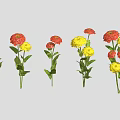 Vibrant Red and Yellow Flowers with Green Stems and Leaves Arranged on Grey Background