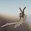 Dry Tree Branch with Weathered Texture Against Blurred Sky and Distant Mountains 3d model