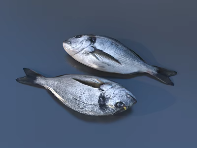Two Fresh Silver Fish With Black Eyes Fins And Scales For Seafood Cooking 3d model