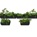 Decorative Potted Plants With Various Greenery In Black Rectangular Planters 3d model
