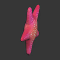 Pink Starfish Doll with White Spots on Dark Background with Reflection 3d model