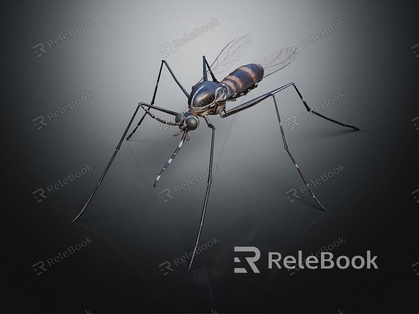 Modern Mosquito Insect Black Mosquito Wildlife model