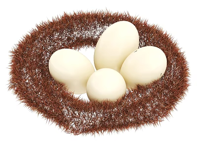Brown Feathered Nest With Four White Eggs On White Background 3d model