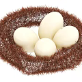 Brown Feathered Nest With Four White Eggs On White Background
