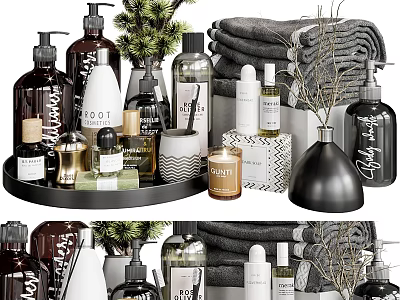Elegant Modern Daily Cleaning Essentials With Bottles Towels Candles Tray And Potted Plants 3d model