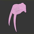 Detailed White Animal Skull With Long Curved Ivory Tusks On Dark Reflective Background